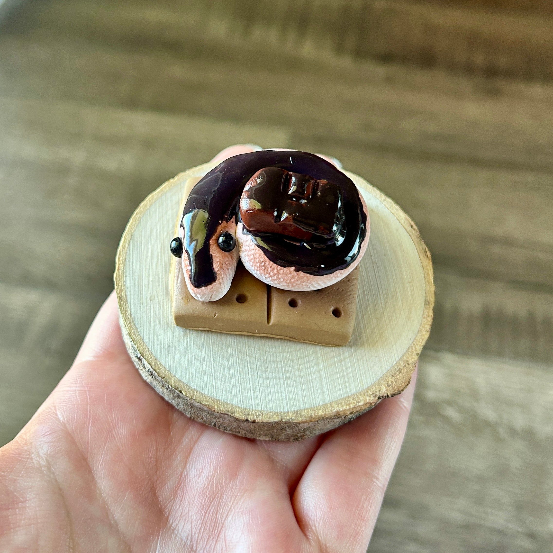 S'mores Critter Adoption