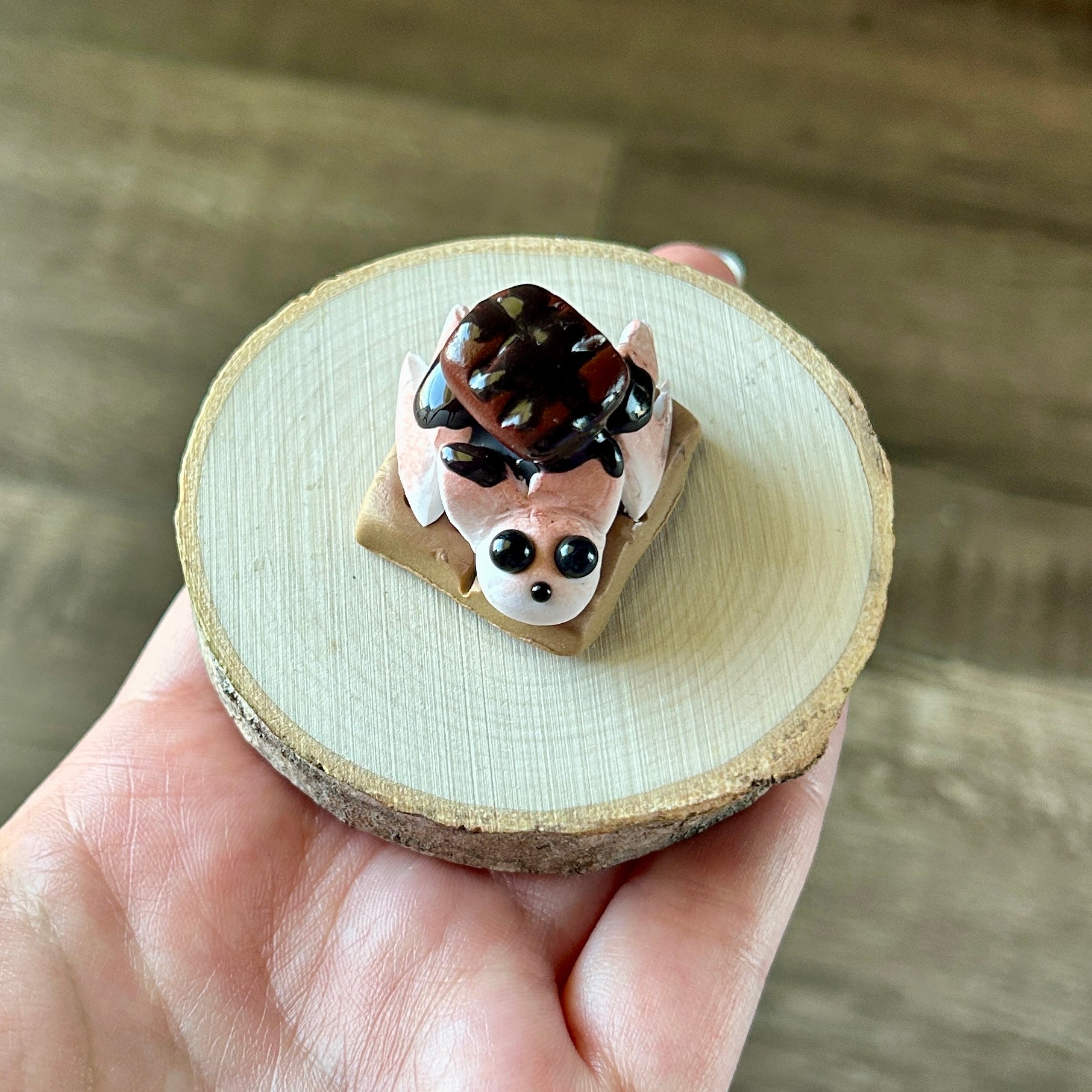S'mores Critter Adoption