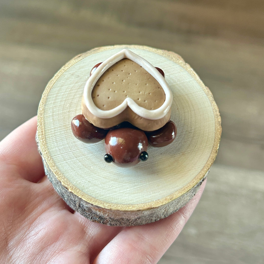 Baby Heart Cookie Turtle