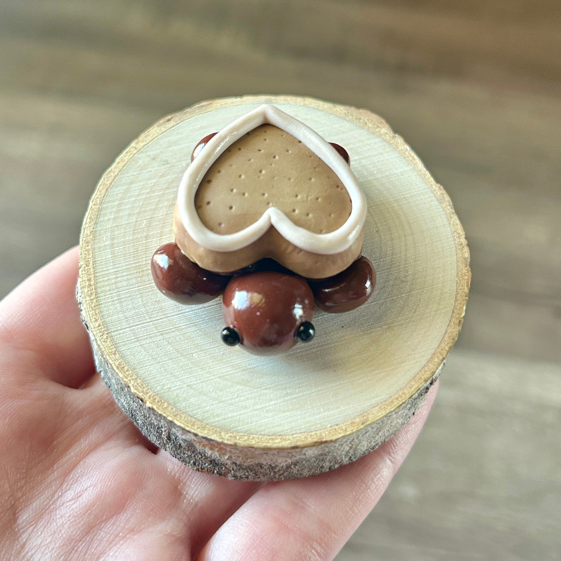 Baby Heart Cookie Turtle